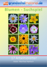 Blumen-Suchspiel.pdf